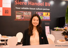 Yizhuo Zhang of Schie with extra attention to Anemone Pink Cloud, Cordyline Lime Passion, Hosta Proud Treasure and Diamond Head.